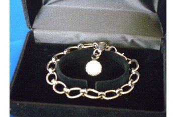 Charm Bracelet & 1 Charm